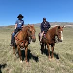 Dan Messerli - @western_art_scene - Instagram