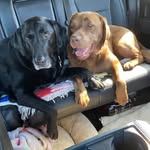 Sally N Dan Messier - @sally.messier.9 - Instagram