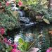 Dan Metzger - Facebook