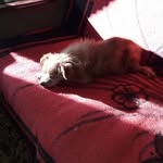 Dan Mihalache - @dan.mihalache.7334 - Instagram