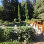 Dan Mihalache - Facebook