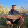 Dan Mihalache - @dan.mihalache80 - TikTok