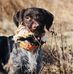 Dan Mikesell - Facebook