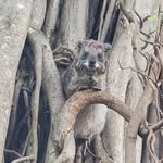 Dan Millard - @danioro1 - Instagram