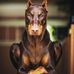 Dan Milligan - Facebook