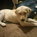 Dan Milligan - @milligan1552 - Instagram