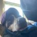 Dan Milliken - Facebook