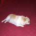 Dana E Milstead - Facebook