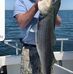 Daniel Milstead - Facebook