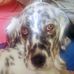 Dan Milton - Facebook