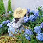단밍이네 어린정원 Danming's garden - @danminginee - Instagram