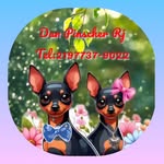 Dan Miniaturas (RJ) 🦮🐕🐩 - @dan_miniaturas - Instagram