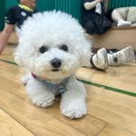 단민턴 - @dan_minton_ - Instagram