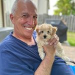 Dan Minutillo - @danminutillo - Instagram