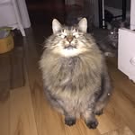 Dani_Misner! - @dani_misner - Instagram