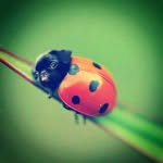 Sagaz - @dan_mitzy - Instagram