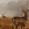 Daniel.Mitchum - @daniel.mitchum - TikTok