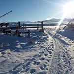Dan Mock - @dan.mock.1610 - Instagram