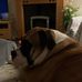 Danny Moffitt - Facebook