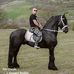 Dan Moga - Facebook