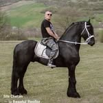 Dan Moga - @dan.moga.5832 - Instagram