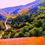 Dan Moga - @moga722 - Instagram