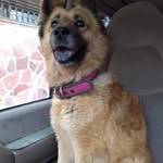 Danmoga Moreno - @danmoga71 - Instagram
