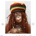Dan Mogg - Facebook