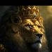 Danny Mogern - Facebook