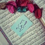 Dan Mohammed - Facebook