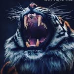 Dan Molina - @dan_molina2.0 - Instagram