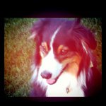 Dan Moller - @dmoller - Instagram