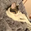 danmomo - @moridan0830 - TikTok