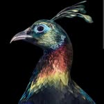 MonCheriDanphe - @moncheridanphe - Instagram