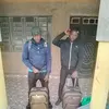 nilike nikulike - @danmonet20 - TikTok