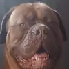 Danny monette - @danny.monette - TikTok
