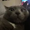 danamonteith - @danaamonteith - TikTok