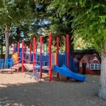 Danville Montessori School - @danmontschool - Instagram