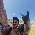 Dan Moore - @_danmoore - Instagram