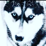 Dan_2011 - @danmop - Instagram