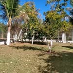 Dan Moreira - @dan.moreira.5686 - Instagram