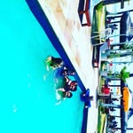 Dan Moreira - @danmoreirafreitas - Instagram
