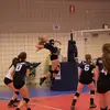 Dan Morin - @dan.morin81 - TikTok