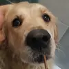 Daniele Morreale - @daniele.morreale3 - TikTok