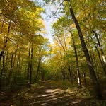 Dan Morrison Photography - @danmorrisonphotography - Instagram