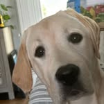 Dan Morrow - @danmorrow26 - Instagram