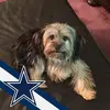 Danny Morrow - @danny.morrow - TikTok