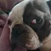 Danny r mosby - @danny.r.mosby - TikTok