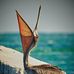 Dan Mose - Facebook