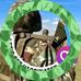 Dan Mose - Facebook